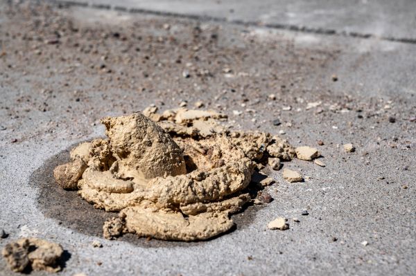 Cost of Driveway Slab Leveling in Edmonds